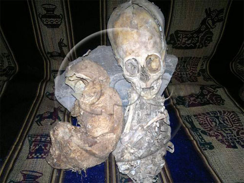 skull 2